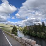 A road runs through a national park with a river and pine trees on the right side of the road