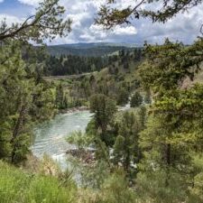 peeking through branches to see a curving river below set against the backdrop of a blue mountain